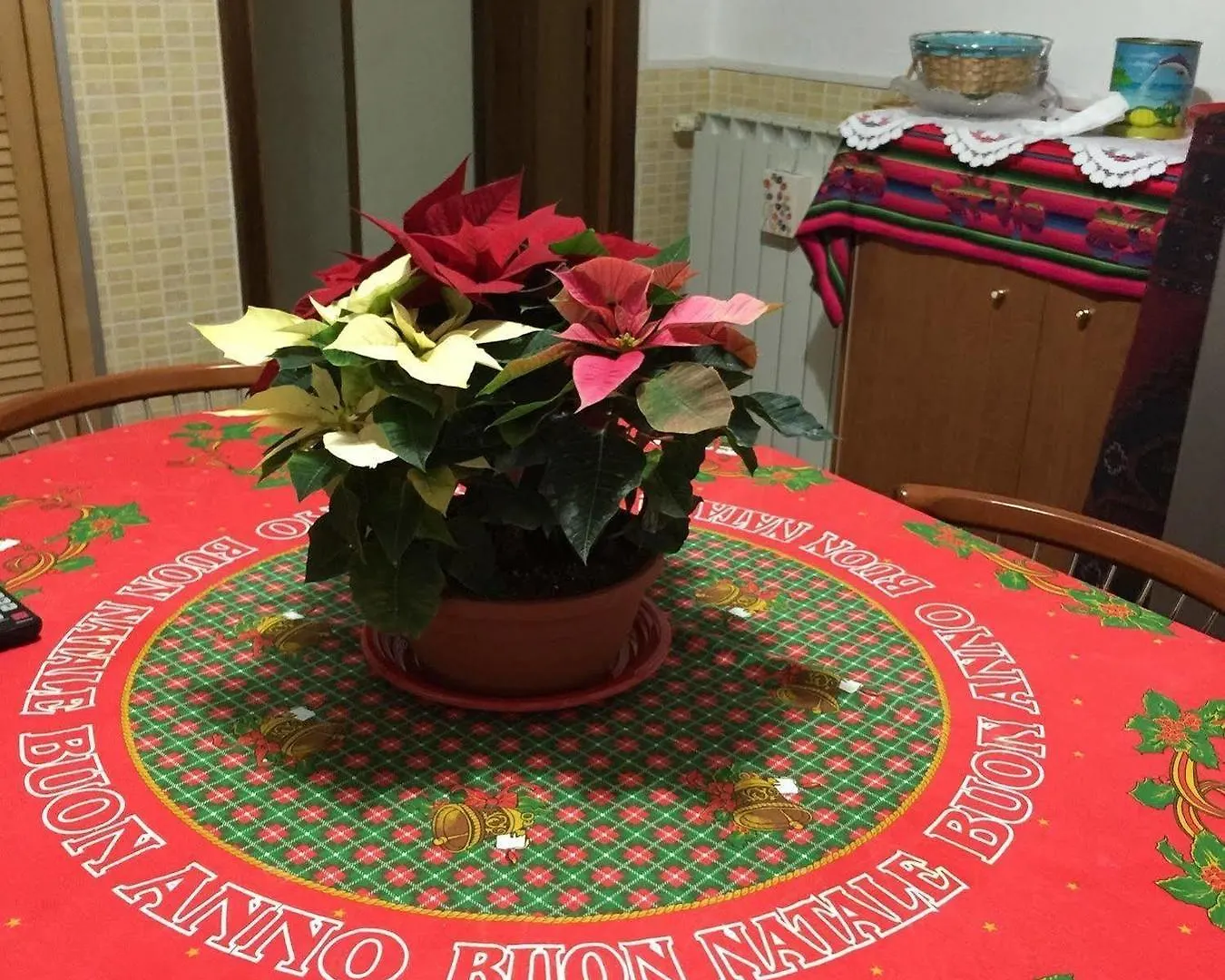 Marcelina Bed & Breakfast Rome